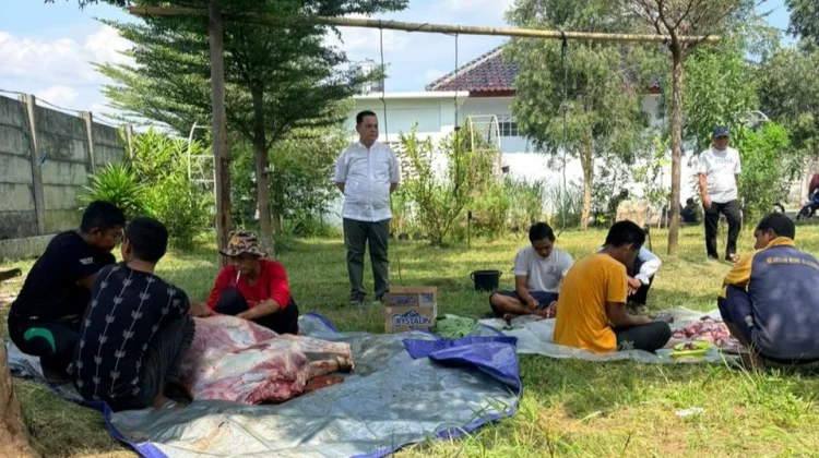 Kejari Majalengka Tebar Kepedulian di Iduladha 1447 H, Sembelih 1 Sapi dan 2 Kambing