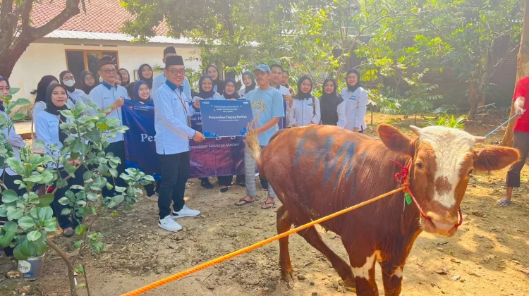 PNM Tebar Kurban, Warga Desa Dapat Daging Sapi