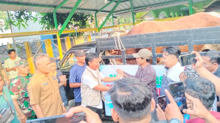 Warga Argasunya Cirebon Terima Bantuan Sapi Kurban Presiden