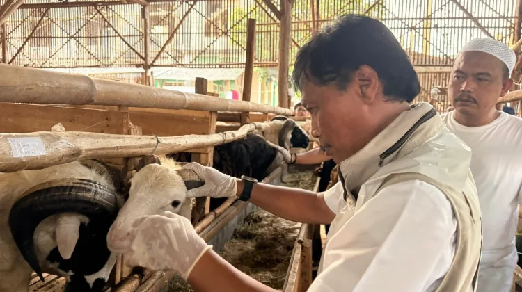 Wali Kota Cirebon Pastikan Hewan Kurban di Lima Titik Sehat dan Layak