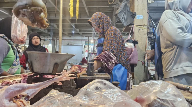 Harga Ayam Broiler di Pasar Pasalaran Relatif Stabil meski Sempat Naik