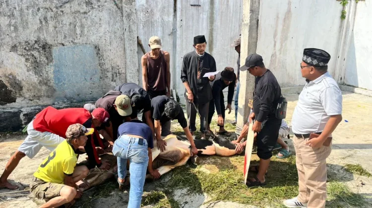 Tina Wiryawati Sebar Kurban di Empat Daerah Dapil 13 Jabar