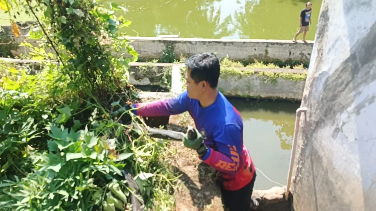 King Cobra 3,5 Meter Gegerkan Warga Lebakwangi