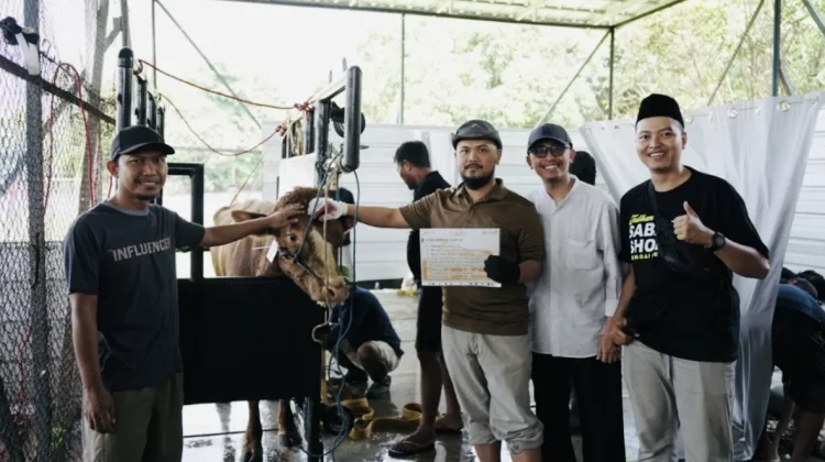Pertamina EP Zona 7 Salurkan 103 Hewan Kurban di Wilayah Operasi