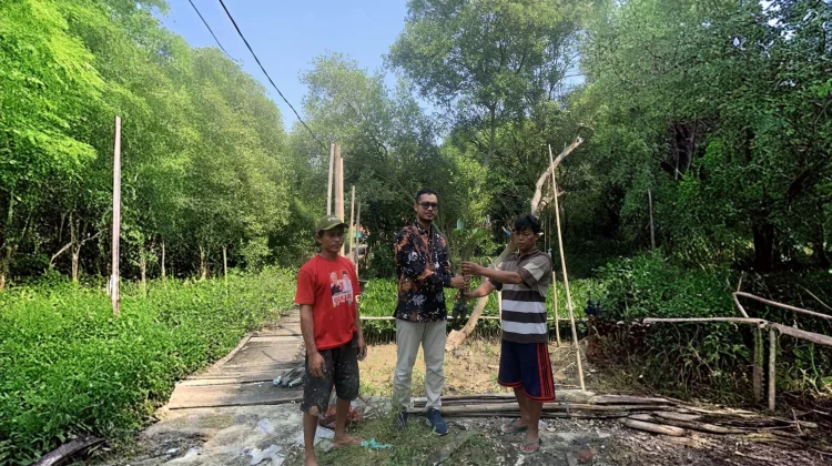 PNM Tanam 29 Ribu Pohon di 58 Cabang se-Indonesia