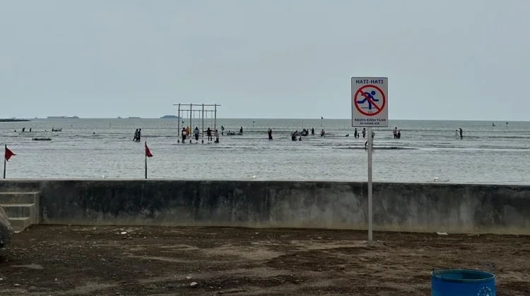 Hari Lingkungan Hidup Sedunia 2026, DLH Cirebon Ajak Warga Rawat Kawasan Pesisir