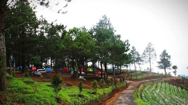 Bukit Kanaga Majalengka, Surga Wisata Alam di Kaki Gunung Ciremai yang Kian Populer