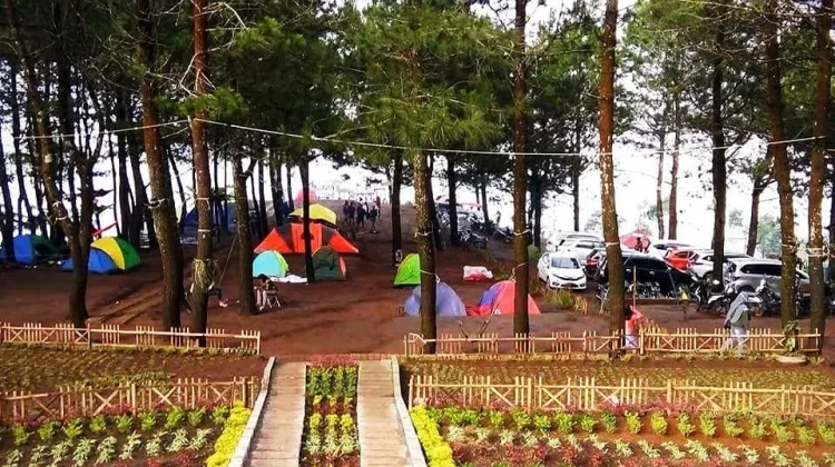 Bukit Kanaga Majalengka, Surga Wisata Alam di Kaki Gunung Ciremai yang Kian Populer