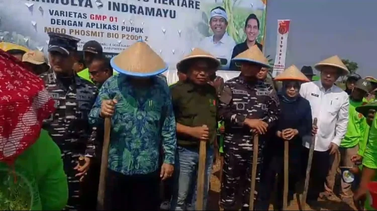 Presiden Prabowo Perintah Hashim Hadiri Penanaman Kedelai Nasional di Indramayu