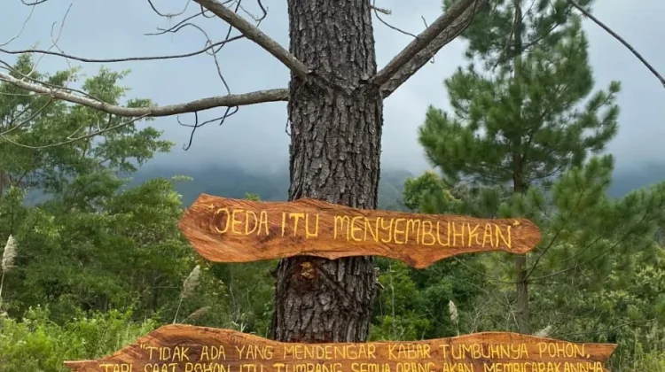 Bukit Lambosir: Destinasi Hiking Ringan dan Camping Seru untuk Quality Time