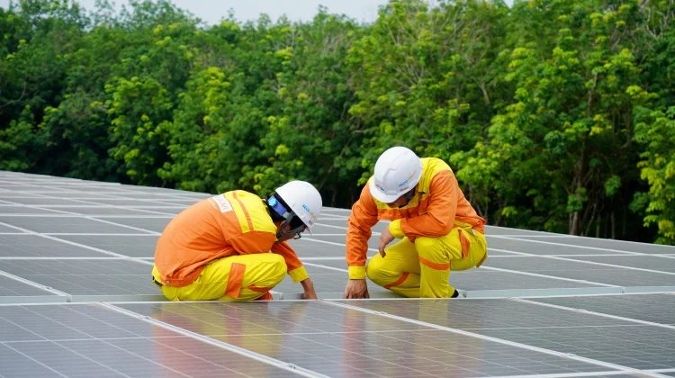 Dari Energi Bersih hingga Kota Pintar: Peran Teknologi Hijau