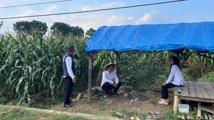 Satresnarkoba Polres Majalengka Dampingi Petani Jagung Dukung Ketahanan Pangan