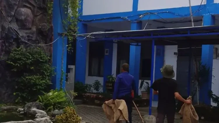 Satpol PP Indramayu Imbau Warga Waspada Monyet Liar