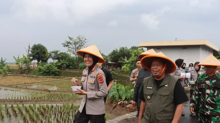 Kapolres dan Bupati Majalengka Tanam Jagung Serentak, Dukung Swasembada Pangan