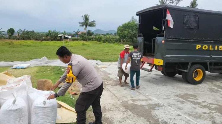 Polisi Turun ke Ladang, Jagung Petani Majalengka Dapat Kepastian Pasar