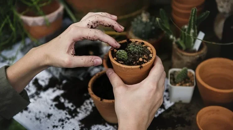 Libur Sekolah Menyenangkan Melalui Kegiatan Berkebun Bersama Keluarga Tercinta