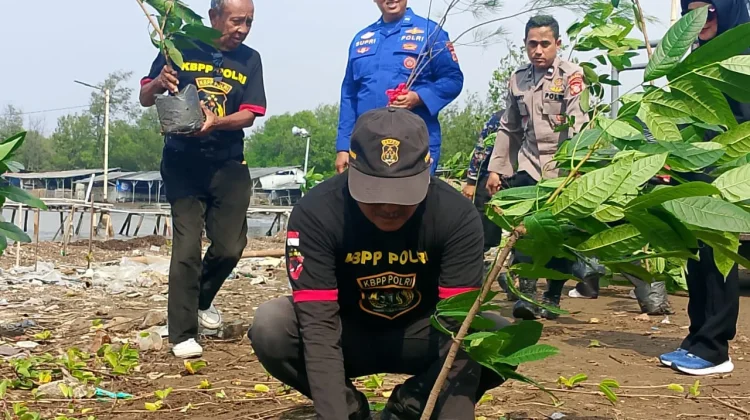 olres Indramayu dan KBPP Polri Tanam 100 Pohon di Karangsong