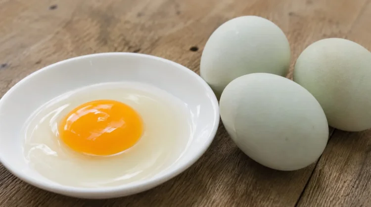 Benarkah Telur Bebek Bisa Meningkatkan Vitalitas Pria Dewasa?
