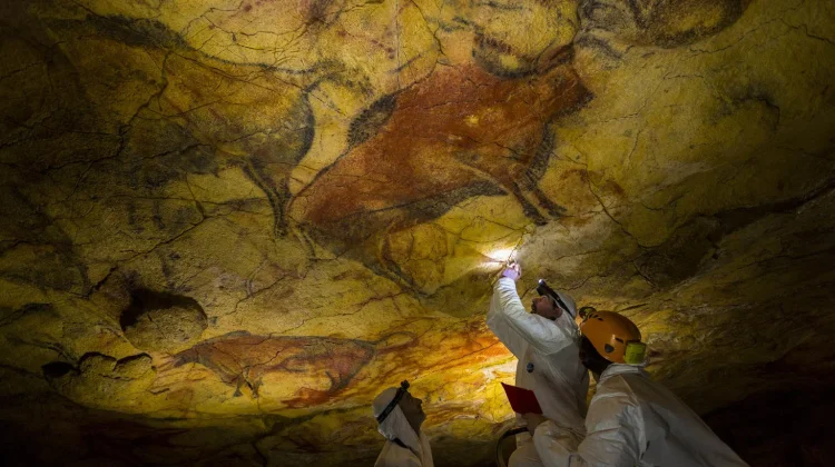 Terungkap, Misteri DNA Purba di Dinding Gua