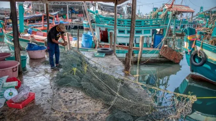 Cegah Ilegal Fishing, Pemkab Cirebon Edukasi Nelayan
