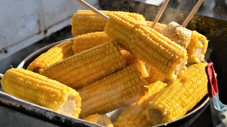 Jagung Rebus Camilan Murah Kaya Vitamin dan Serat