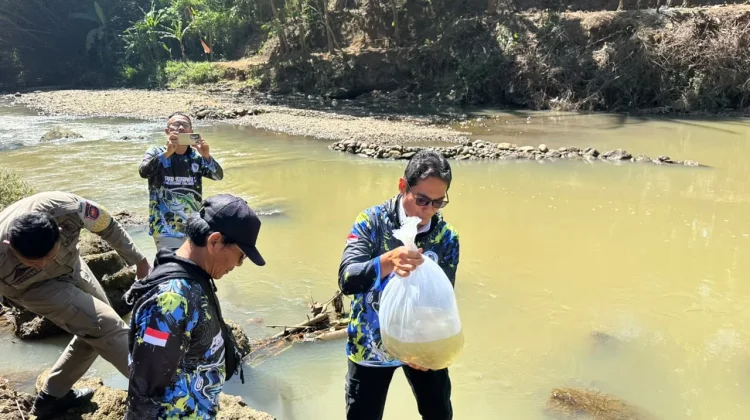 Pulihkan Ekosistem Sungai, Ribuan Bibit Ikan Dilepas di Majalengka