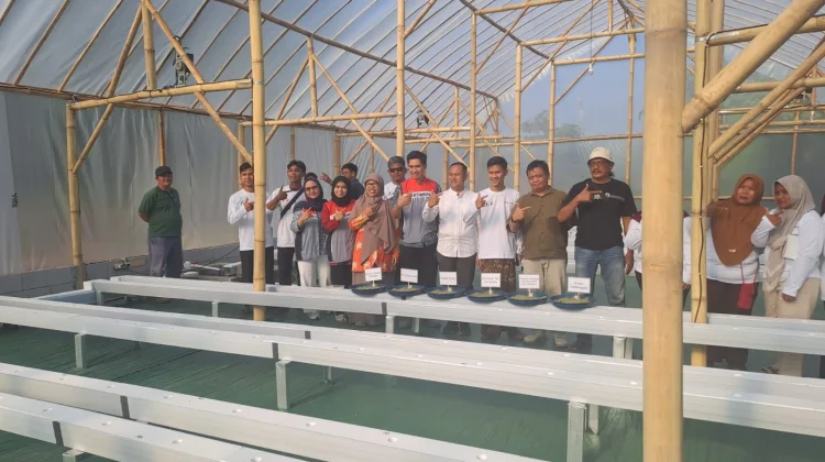 Pertamina EP Luncurkan 'Smart Green House' Melon Premium di Indramayu