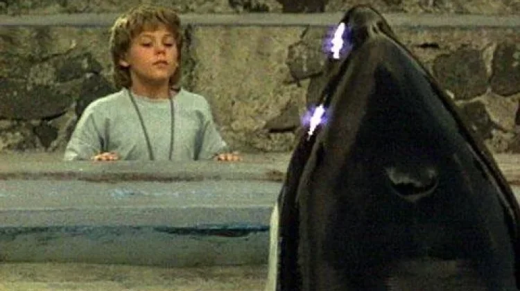 Film Ikonik Era Tahun 1993 Free Willy Siap Diproduksi Ulang