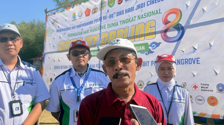 MAMO My Darling Ke-8 Tanam 10 Ribu Mangrove Peringati Hari Mangrove Dunia