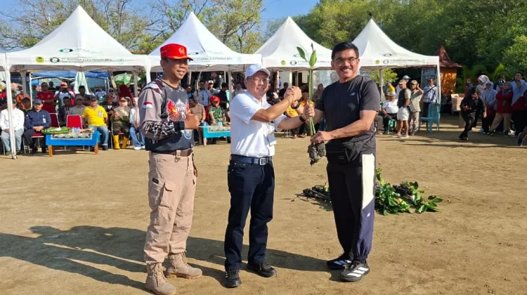 Pemerintah Kota Cirebon Apresiasi Penanaman Mangrove pada Hari Mangrove Dunia