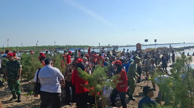 HAKLI: Penanaman Mangrove Perkuat Pelestarian Pesisir Kota Cirebon