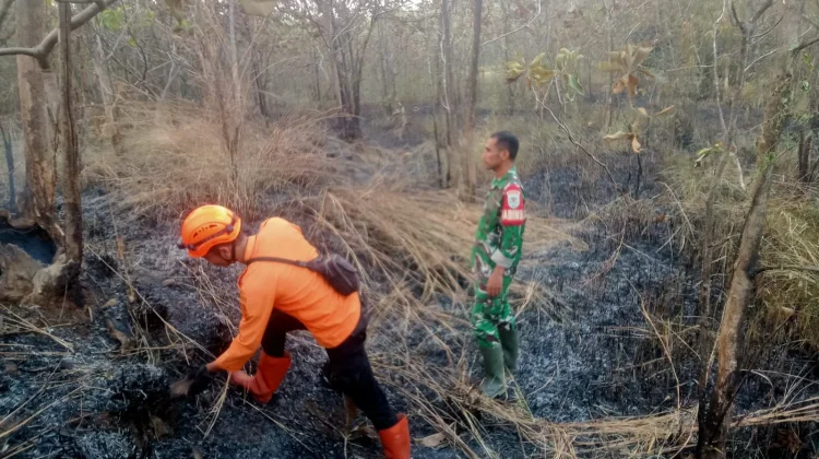 Respons Cepat Aparat Padamkan Kebakaran Lahan 2 Hektare di Majalengka
