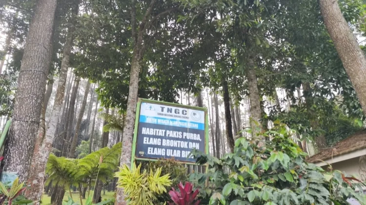 Pasir Batang, saat Hiking Menjadi Cara Baru Berwisata