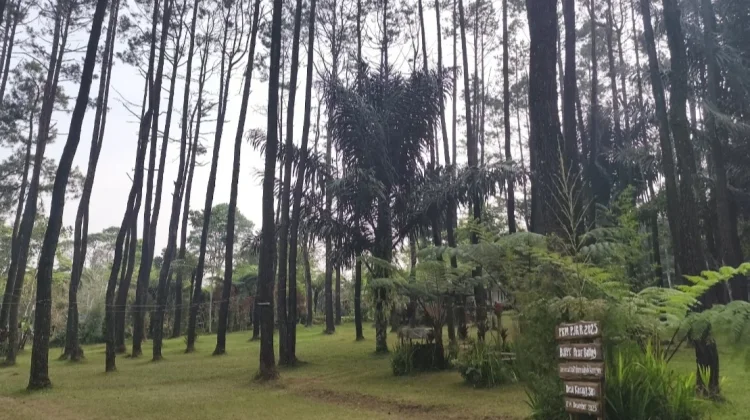 Pasir Batang, saat Hiking Menjadi Cara Baru Berwisata