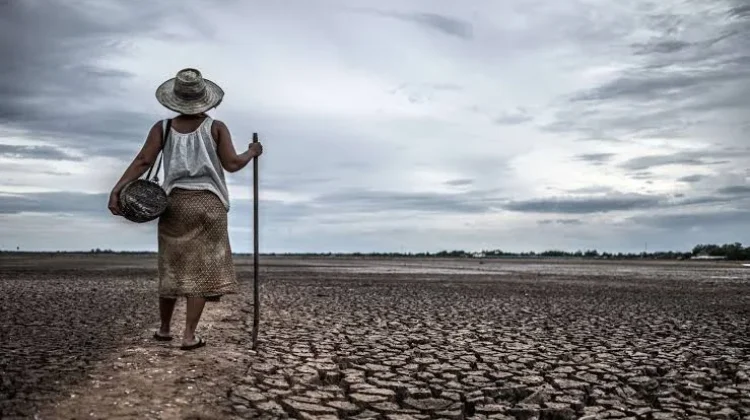 Petani Majalengka Dihantui Kemarau, Ribuan Hektare Sawah Status Waspada