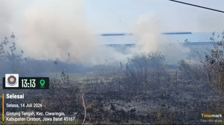 Lahan Kering Dekat Pabrik di Arjawinangun Cirebon Terbakar