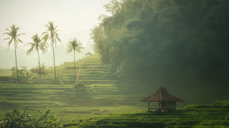 Bantaragung Majalengka Masuk Tiga Besar Sertifikasi Desa Wisata Nasional