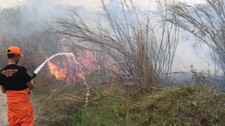Karhutla Meluas di Majalengka, 10,85 Hektare Lahan Hangus dalam Sepekan