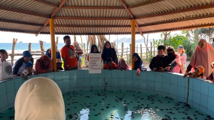 Pertamina Patra Niaga Perkuat Keanekaragaman Hayati lewat Ibu Kota Penyu