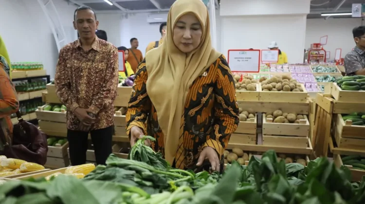 Rumah Sayur Kuningan Siap Serap 20 Ton Hasil Panen per Hari