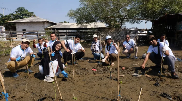 Pertamina Balongan Tanam 11 Ribu Mangrove di Pesisir Indramayu