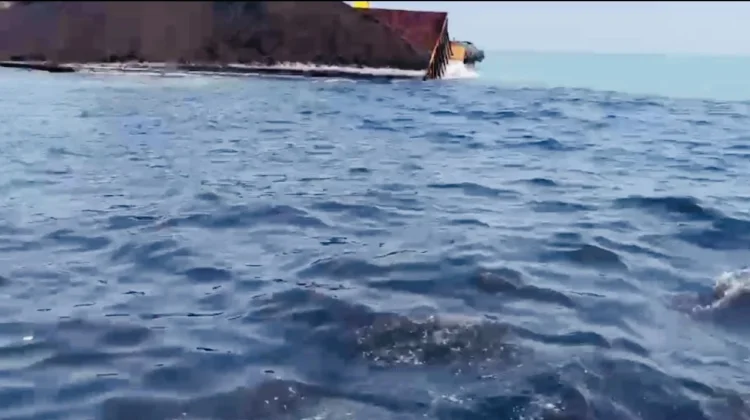 Laut Cirebon Tercemar & Menghitam akibat Tumpahan Batu Bara Dari Kapal Tongkang