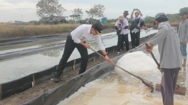 Pemkab Cirebon Prioritaskan Pembangunan Sentra Garam dan Produk Turunannya