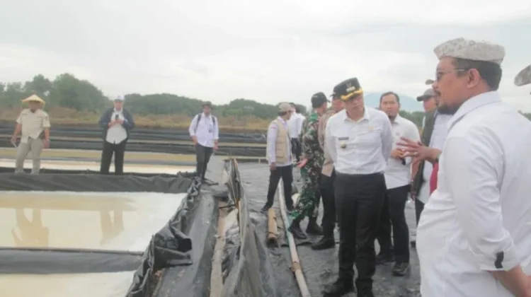 Permodalan dan Akses Jalan Produksi Masih Jadi Kendala Petambak Garam Cirebon
