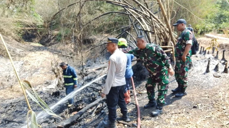 Api Mengamuk di Lahan Bambu Majalengka, 2.000 Meter Persegi Hangus Terbakar