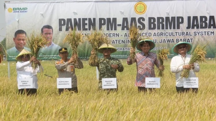 Dandim 0616 Indramayu Hadiri Panen Perdana PM-AAS di Terisi