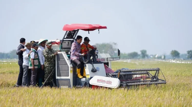 Panen Perdana PM-AAS di Indramayu Capai 10,45 Ton per Hektare