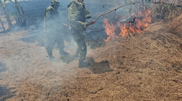 TNI dan Perhutani Padamkan Kebakaran Lahan di Cikawung Indramayu