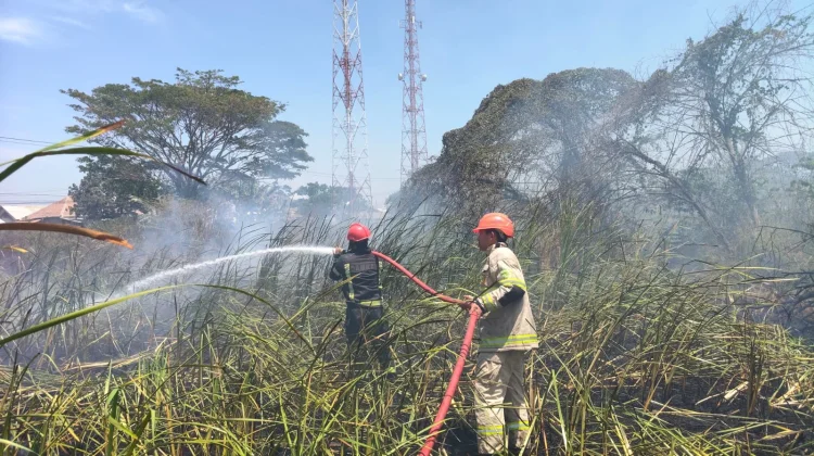 Lahan Pekarangan Terbakar di Kandanghaur, 6 Ribu Liter Air Dikerahkan