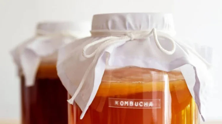 Kombucha, Minuman Fermentasi yang Menyimpan Dunia Mikroorganisme